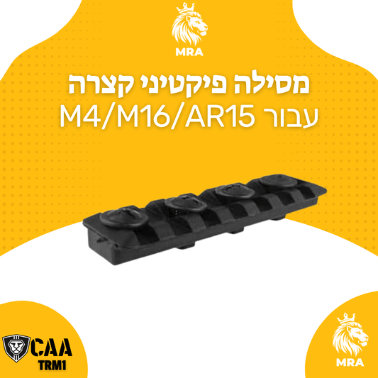 מסילה פיקטיני קצרה